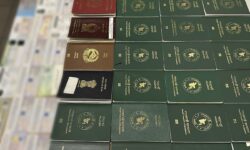 Otkriven ilegalani boravak stranaca na području općine Novi Grad